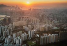 Crafted for the Discerning Few: Narra and Pinery Residences