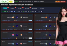 The Evolution of Football Media and Professional Market Analysis Deciphering the Complexity of the tỷ lệ kèo nhà cái