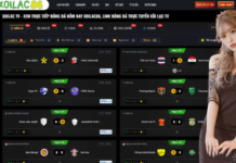 Comprehensive Insights into Football Analytics and Live Viewing Platforms