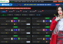 The Evolution of Digital Sports Analysis and Live Global Coverage Understanding the Strategy Behind Asian Market Probabilities